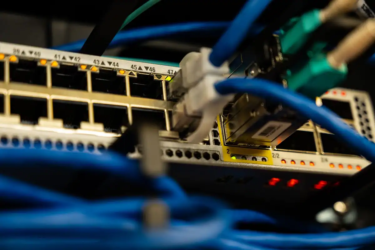 Cabluri de rețea conectate într-un switch, în plan apropiat, într-un spațiu tehnic